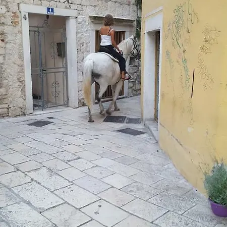 Room-ivann Hostel Split