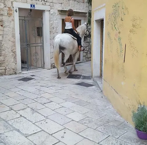 Room-ivann Hostel Split